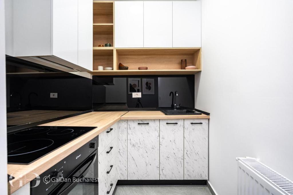 The Loft Luxury Apartments-near The Park In The Center Apartment Bucharest