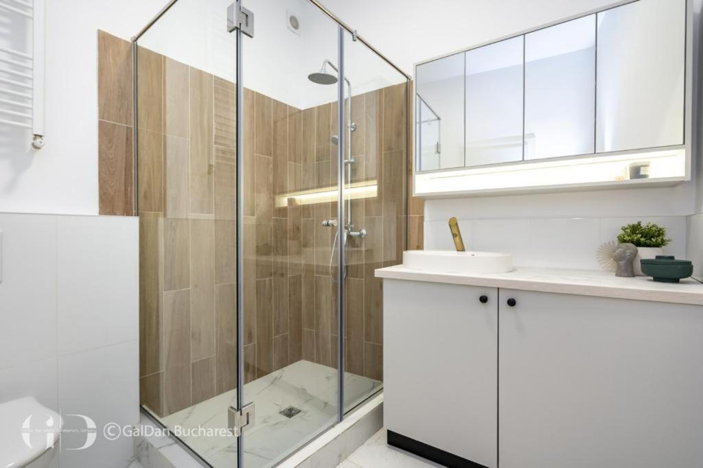 公寓 The Loft Luxury Apartments-near The Park In The Center 布加勒斯特