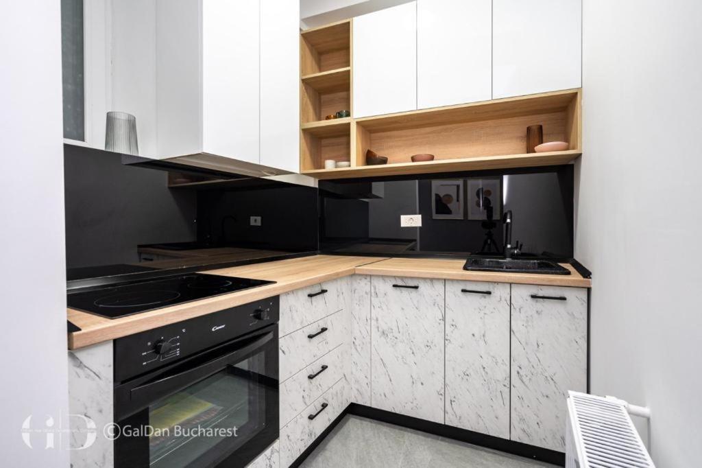 公寓 The Loft Luxury Apartments-near The Park In The Center 布加勒斯特